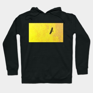 Eagle above the sun Hoodie